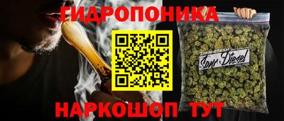 сатива Новозыбков