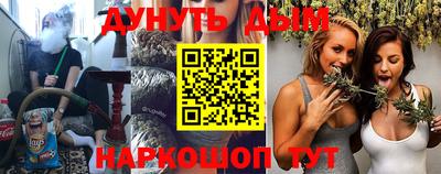 сатива Новозыбков