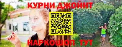 сатива Новозыбков