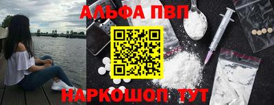 сатива Новозыбков