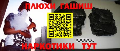 сатива Новозыбков
