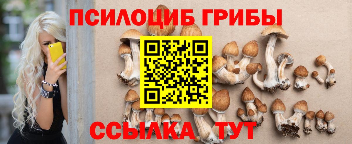 Кашира  Псилоцибиновые грибы мицелий  Вход с VPN 